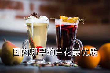 國內哪里的蘭花最優(yōu)質