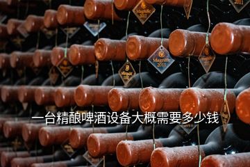 一臺(tái)精釀啤酒設(shè)備大概需要多少錢