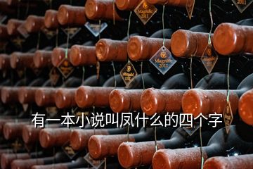 有一本小說(shuō)叫鳳什么的四個(gè)字