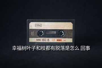 幸福樹(shù)葉子和枝都有脫落是怎么 回事