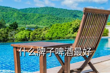 什么牌子啤酒最好