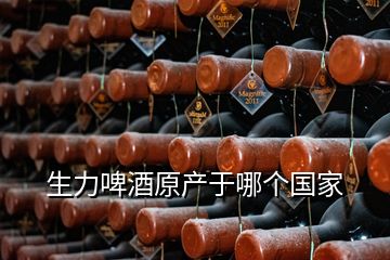 生力啤酒原產(chǎn)于哪個(gè)國(guó)家