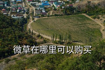 微草在哪里可以購(gòu)買