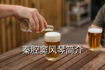 秦腔竇風(fēng)琴簡(jiǎn)介
