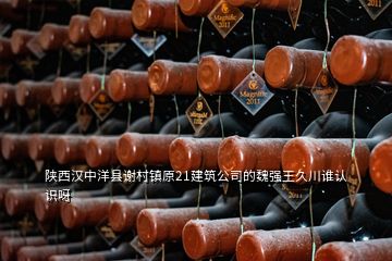 陜西漢中洋縣謝村鎮(zhèn)原21建筑公司的魏強(qiáng)王久川誰認(rèn)識(shí)呀