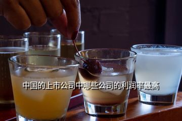 中國(guó)的上市公司中哪些公司的利潤(rùn)率最高