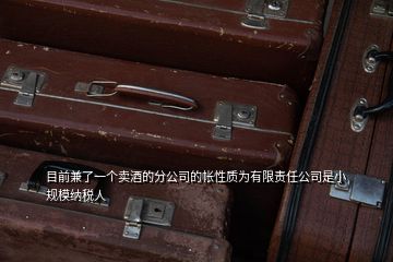 目前兼了一個賣酒的分公司的帳性質(zhì)為有限責(zé)任公司是小規(guī)模納稅人