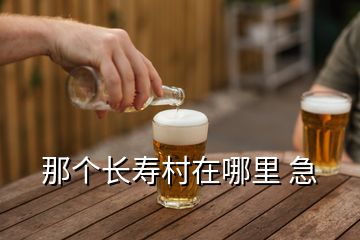 那個(gè)長(zhǎng)壽村在哪里 急