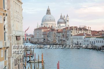 我想注冊白酒商標(biāo)想找一家大型的生產(chǎn)原酒的四川酒廠貼牌加工