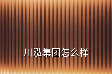 川泓集團怎么樣