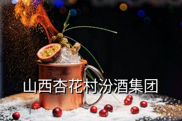 山西杏花村汾酒集團(tuán)