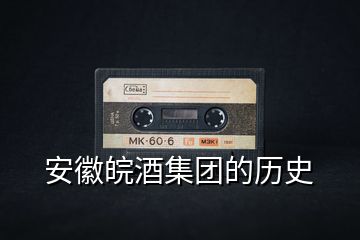 安徽皖酒集團(tuán)的歷史