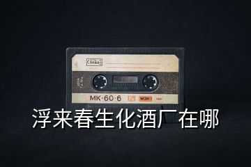 浮來(lái)春生化酒廠(chǎng)在哪