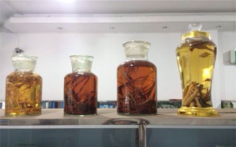 祛寒養(yǎng)生一般用什么藥酒好？這幾種藥酒值得信賴