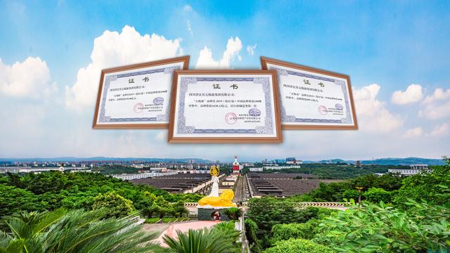 愛(ài)爾蘭第十一屆歐洲論壇，五糧液以1638.12億元的品牌價(jià)值位列榜單第三位