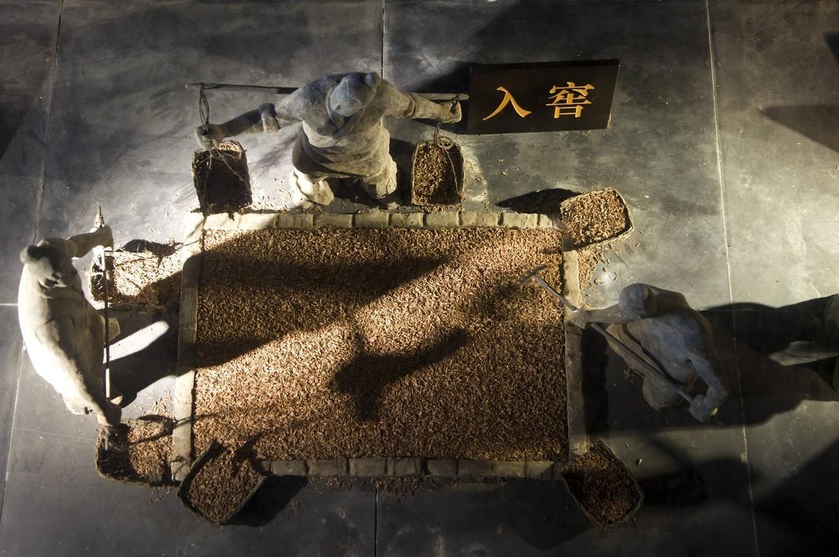白酒銷量不好？糟香味太重？到底是什么原因呢？