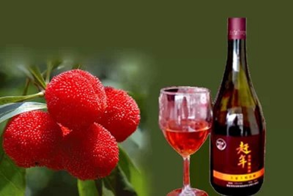 楊梅酒能放冰箱嗎？楊梅酒能冰凍嗎？
