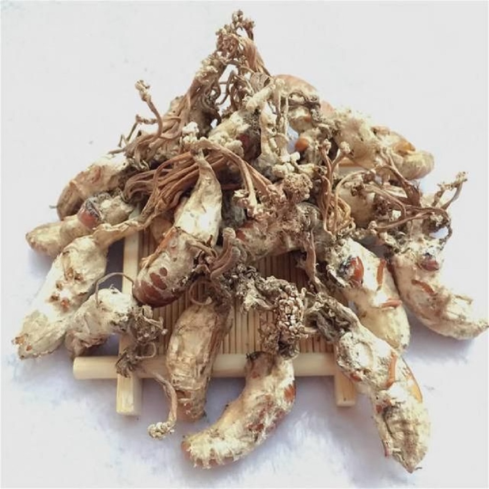 金蟬花可以泡酒嗎？金蟬花的泡酒方法