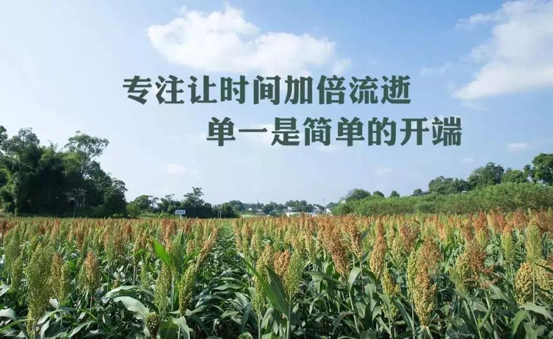 江小白的誠(chéng)實(shí)“告白”，講透當(dāng)前酒企的“難言之隱”