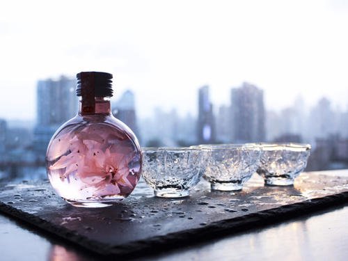 如何制作櫻花酒？櫻花酒有什么功效？