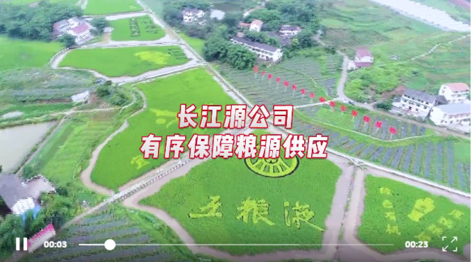 五糧液長江源，品質原糧的守護者