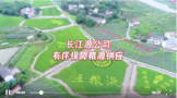 五糧液長(zhǎng)江源，品質(zhì)原糧的守護(hù)者