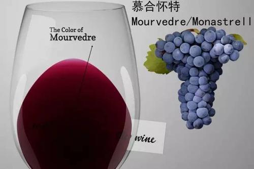 慕合懷特葡萄酒怎么樣？慕合懷特葡萄酒酒精度比較高。