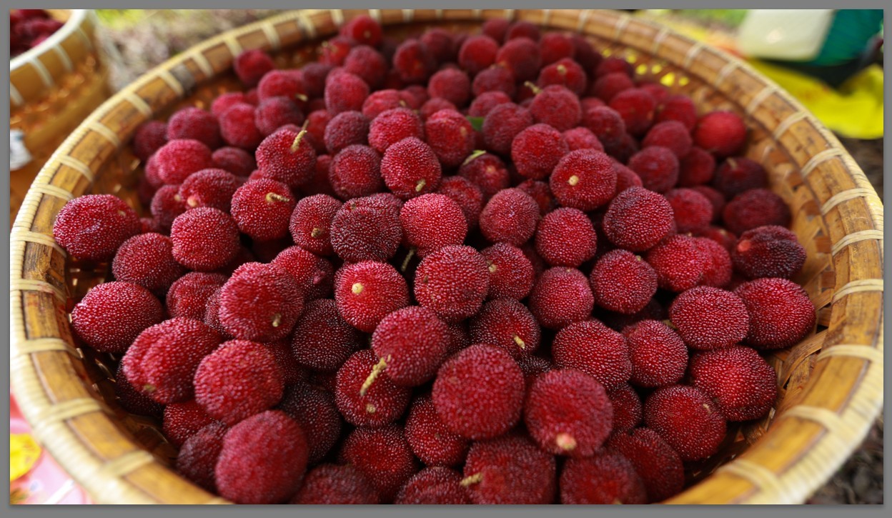 楊梅酒可以放紅糖嗎？楊梅酒有什么品質(zhì)要求