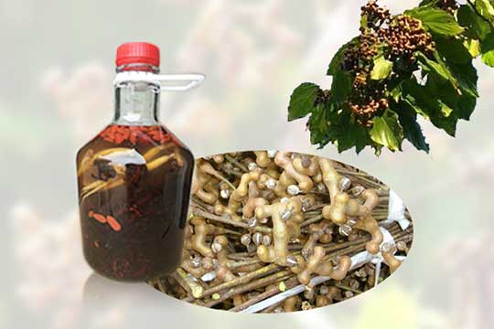 拐棗和什么一起泡酒好，和人參一起泡酒好嗎？