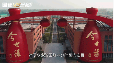 今世緣做了一款什么酒？