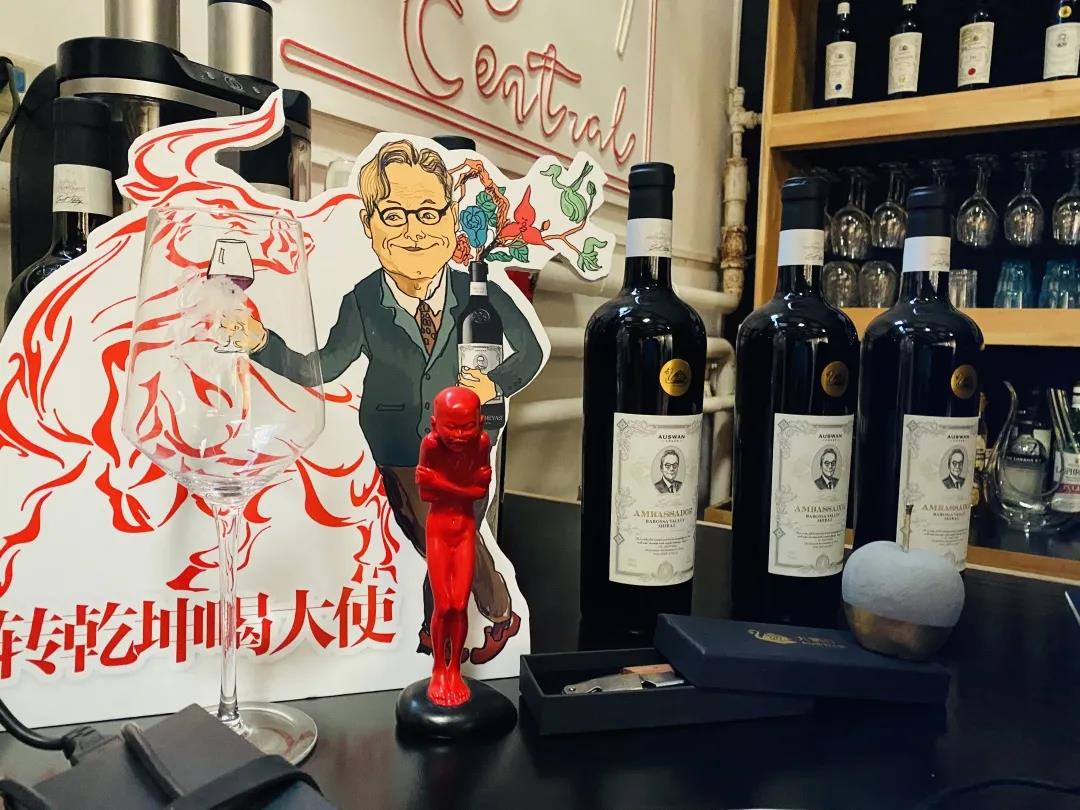 天鵝莊·大使震撼升級(jí)，劍指旺季高端市場！