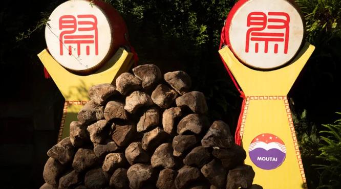 透過一場“端午祭麥”，尋找茅臺品質(zhì)源頭