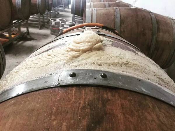 桶啤怎么開(啤酒桶怎么開)