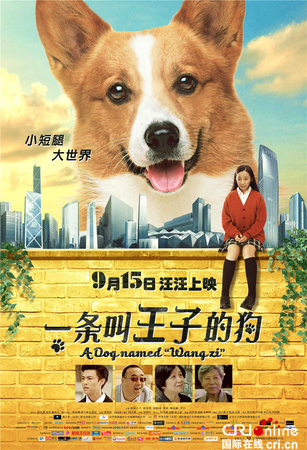 王子狗生肖多少錢(qián)(王子生肖狗價(jià)格)